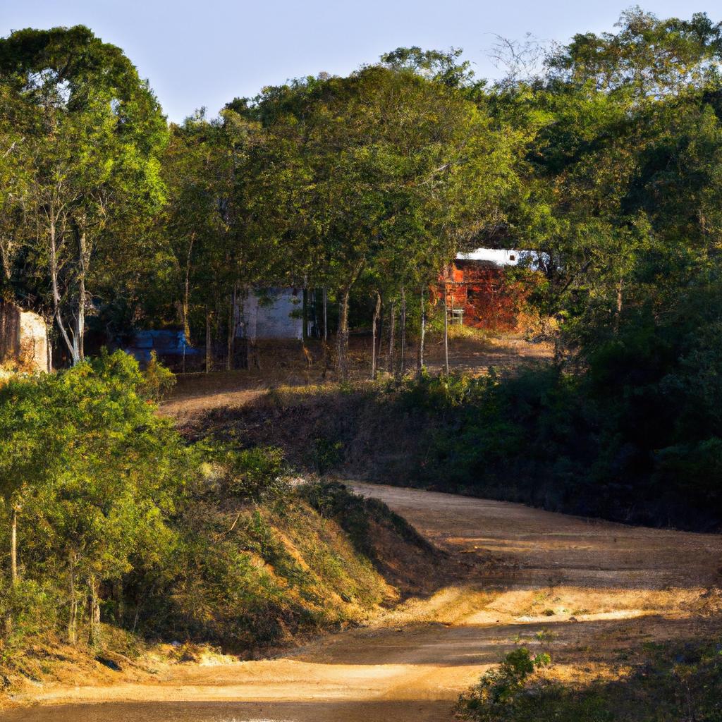 O potencial econômico da pecuária de corte nas áreas rurais
