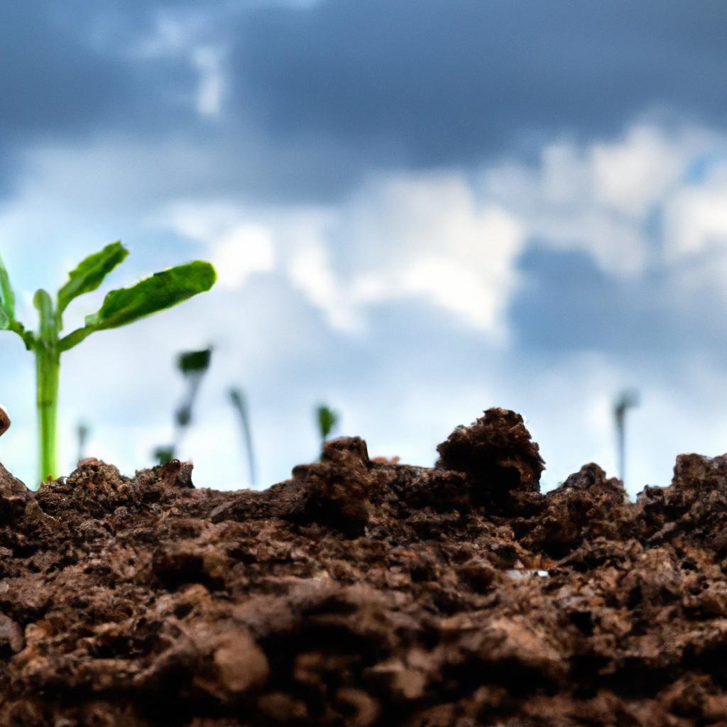 Incentivos fiscais como ferramenta para promover a agricultura sustentável
